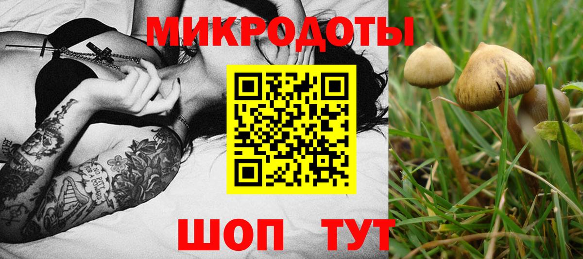 Сокол  Псилоцибиновые грибы Magic Shrooms  Вход с VPN  Галлюциногенные грибы ЛСД 